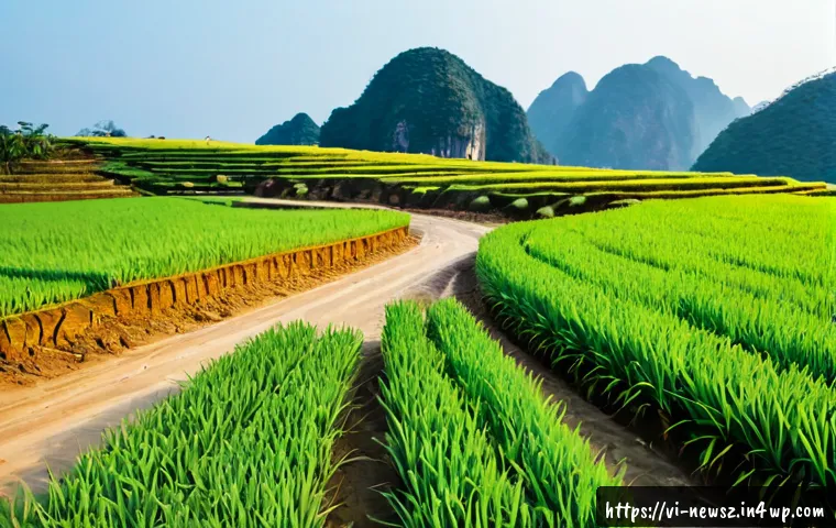 Từ phế liệu đến điểm bán: Quy trình sản xuất, phân phối và tiêu chí chọn sản phẩm upcycling 4 업사이클링 제품의 생산 및 유통 과정 이해하기 관련 이미지 2